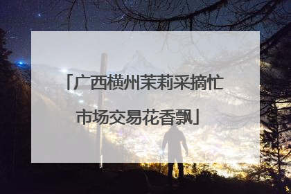 广西横州茉莉采摘忙 市场交易花香飘