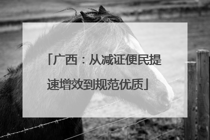 广西：从减证便民提速增效到规范优质