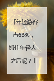 年轻游客占63%，抓住年轻人之后呢？