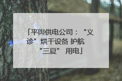 平舆供电公司：“义诊”烘干设备 护航 “三夏” 用电