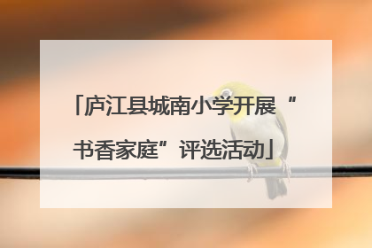 庐江县城南小学开展“书香家庭”评选活动