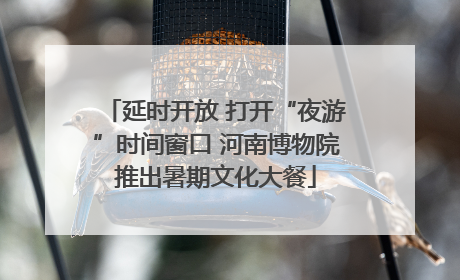 延时开放 打开“夜游”时间窗口 河南博物院推出暑期文化大餐
