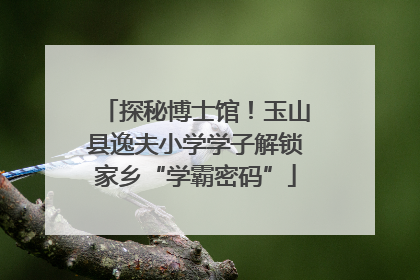 探秘博士馆！玉山县逸夫小学学子解锁家乡“学霸密码”