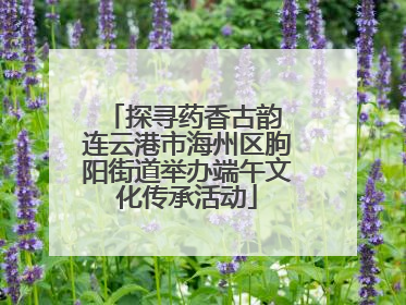 探寻药香古韵 连云港市海州区朐阳街道举办端午文化传承活动
