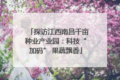 探访江西南昌千亩种业产业园：科技“加码” 果蔬飘香