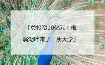 总投资10亿元！梅溪湖畔来了一所大学