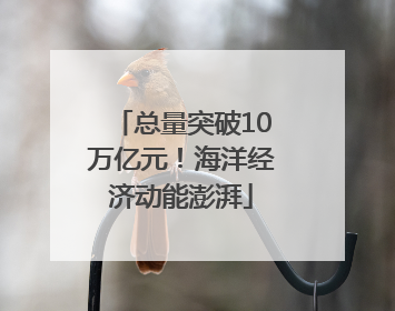 总量突破10万亿元！海洋经济动能澎湃