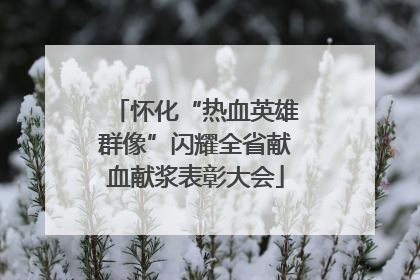 怀化“热血英雄群像”闪耀全省献血献浆表彰大会