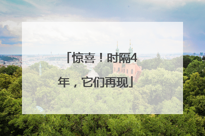 惊喜！时隔4年，它们再现