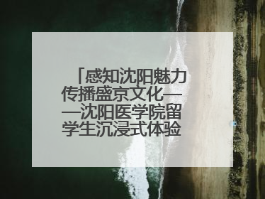 感知沈阳魅力传播盛京文化——沈阳医学院留学生沉浸式体验沈阳文旅特色