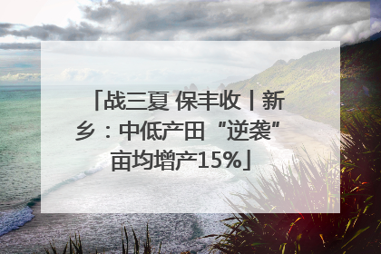 战三夏 保丰收丨新乡：中低产田“逆袭” 亩均增产15%