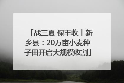战三夏 保丰收丨新乡县：20万亩小麦种子田开启大规模收割