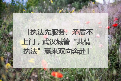 执法先服务、矛盾不上门，武汉城管“共情执法”赢来双向奔赴