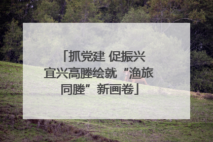 抓党建 促振兴 宜兴高塍绘就“渔旅同塍”新画卷