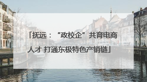 抚远：“政校企”共育电商人才 打通东极特色产销链