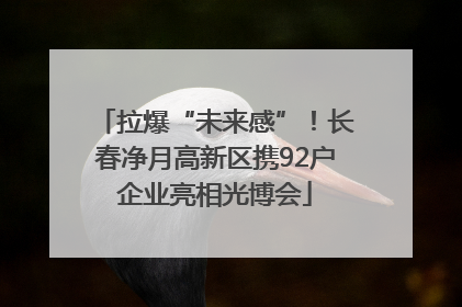 拉爆“未来感”！长春净月高新区携92户企业亮相光博会