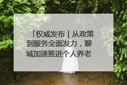 权威发布｜从政策到服务全面发力，聊城加速推进个人养老金制度落地