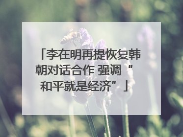 李在明再提恢复韩朝对话合作 强调“和平就是经济”