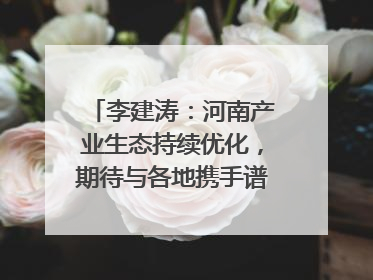 李建涛：河南产业生态持续优化，期待与各地携手谱写合作新篇章