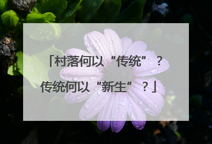 村落何以“传统”？传统何以“新生”？