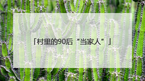 村里的90后“当家人”