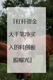 杠杆资金大手笔净买入的科创板股曝光