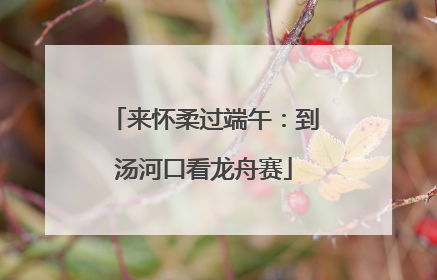 来怀柔过端午：到汤河口看龙舟赛