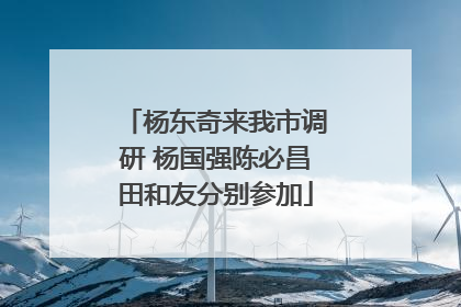 杨东奇来我市调研 杨国强陈必昌田和友分别参加