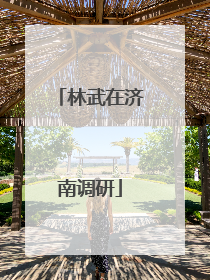 林武在济南调研