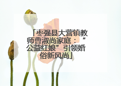 枣强县大营镇教师曹淑尚家庭：“公益红娘”引领婚俗新风尚