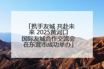 携手友城 共赴未来 2025黄河口国际友城合作交流会在东营市成功举办