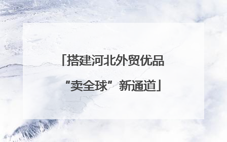 搭建河北外贸优品“卖全球”新通道