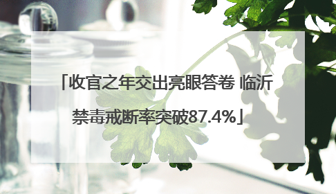 收官之年交出亮眼答卷 临沂禁毒戒断率突破87.4%