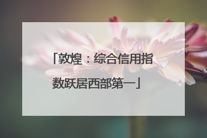 敦煌：综合信用指数跃居西部第一