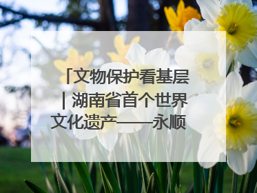 文物保护看基层｜湖南省首个世界文化遗产——永顺老司城遗址
