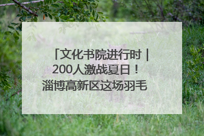 文化书院进行时｜200人激战夏日！淄博高新区这场羽毛球比赛太酷