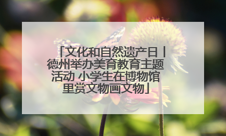 文化和自然遗产日丨德州举办美育教育主题活动 小学生在博物馆里赏文物画文物