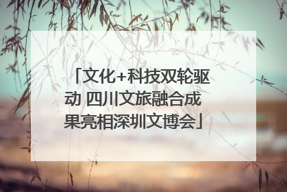 文化+科技双轮驱动 四川文旅融合成果亮相深圳文博会