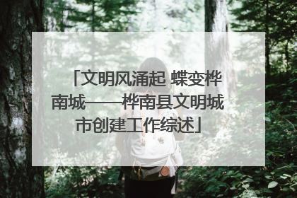 文明风涌起 蝶变桦南城——桦南县文明城市创建工作综述