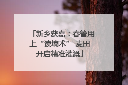 新乡获嘉：春管用上“读墒术” 麦田开启精准灌溉