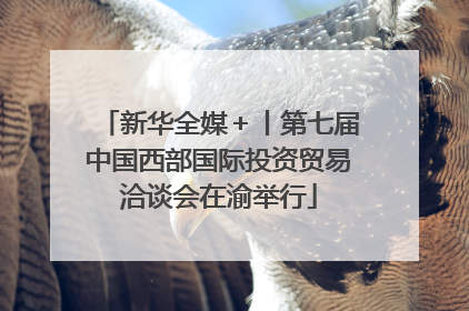 新华全媒＋丨第七届中国西部国际投资贸易洽谈会在渝举行