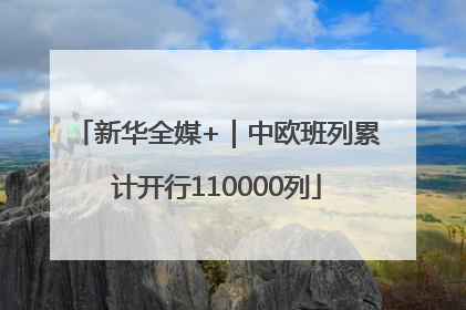 新华全媒+｜中欧班列累计开行110000列