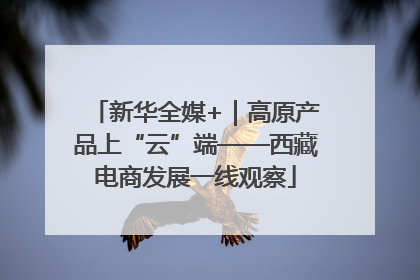 新华全媒+｜高原产品上“云”端——西藏电商发展一线观察
