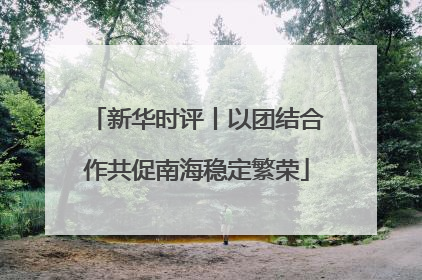 新华时评丨以团结合作共促南海稳定繁荣