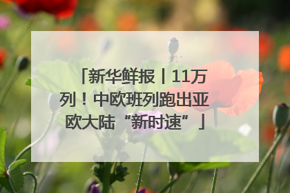 新华鲜报丨11万列！中欧班列跑出亚欧大陆“新时速”