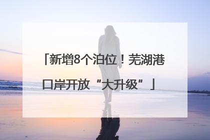 新增8个泊位！芜湖港口岸开放“大升级”