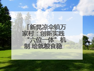 新晃凉伞镇万家村：创新实践“六位一体”机制 绘就粮食稳产增收新图景