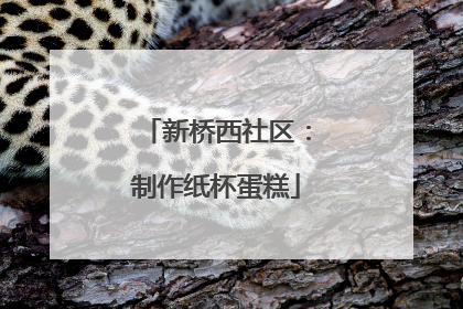 新桥西社区：制作纸杯蛋糕