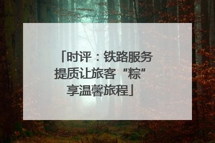 时评：铁路服务提质让旅客“粽”享温馨旅程