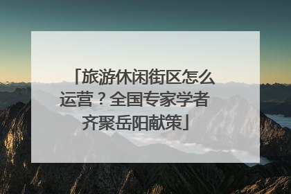 旅游休闲街区怎么运营？全国专家学者齐聚岳阳献策